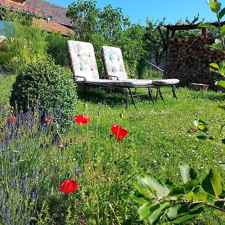 Apartmán Loft Eifel Idylle Nettersheim Exteriér fotografie