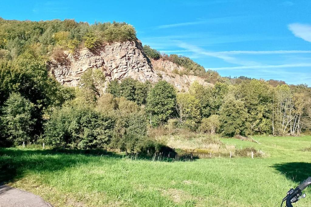 Apartmán Loft Eifel Idylle Nettersheim Exteriér fotografie