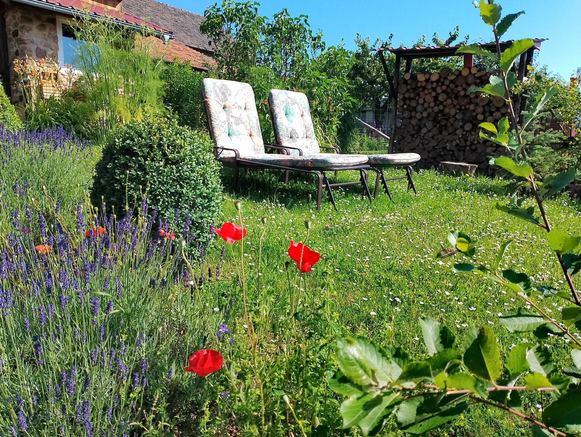 Apartmán Loft Eifel Idylle Nettersheim Exteriér fotografie
